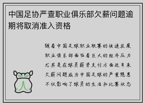 中国足协严查职业俱乐部欠薪问题逾期将取消准入资格