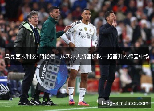 马克西米利安·阿诺德：从沃尔夫斯堡梯队一路晋升的德国中场